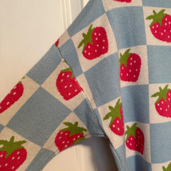 Anthropologie Luna Ivy Strawberry Blue White Checkered Sweater Size Large - Picture 9 of 13
